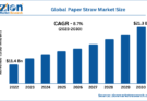 Global Paper Straw Market Size