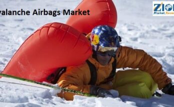 Avalanche Airbags Market